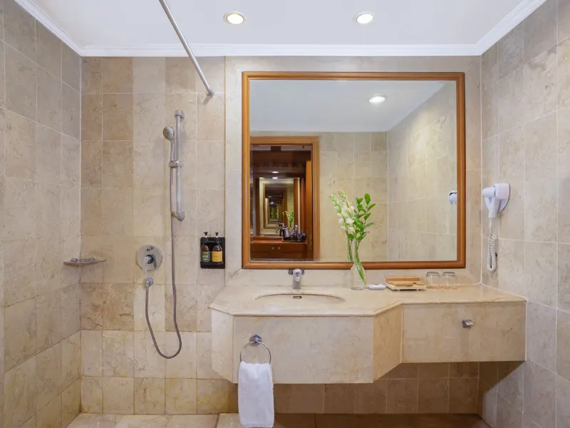 Executive Room — photo 3