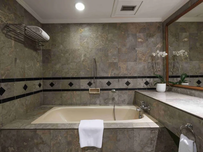 Loman Suite Room — photo 5