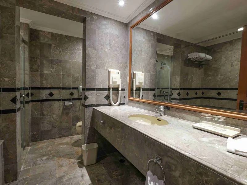 Loman Suite Room — photo 6